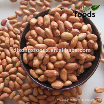 Noz 24/28 28/32 Amendoim Kernels Tipo Tradicional Noz Chinesa